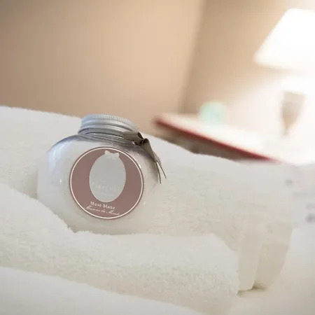 Magnolia St.peter's Maison d'hôtes Rome