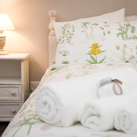 Magnolia St.peter's Rome