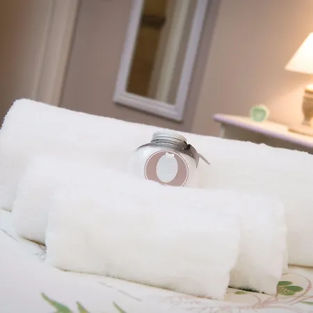 Affittacamere Magnolia St.peter's Roma