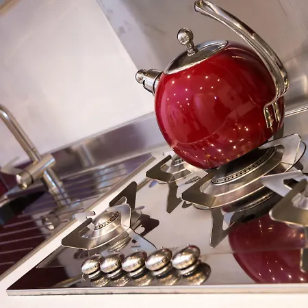 Magnolia St.peter's Roma