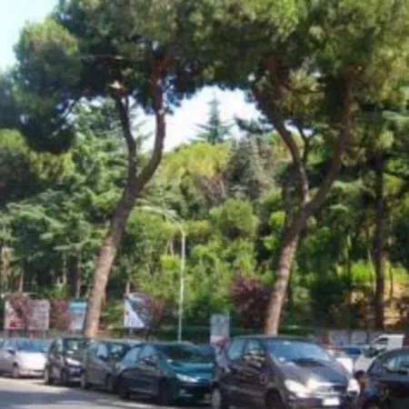 Magnolia St.peter's Affittacamere